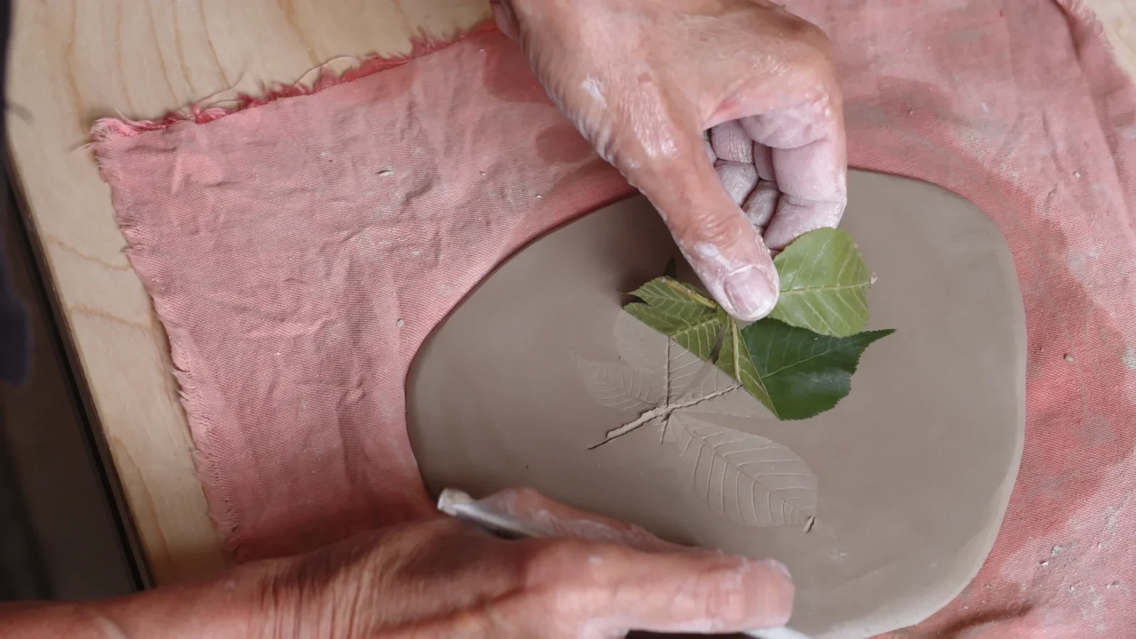 A sprig being lifted away from a broad clay slab to reveal a leaf impression.